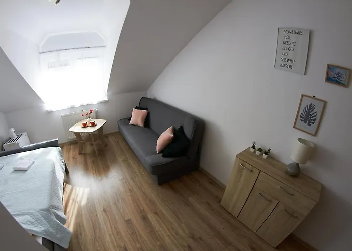 게스트하우스 Pokoje U Mirka 드지비르지노